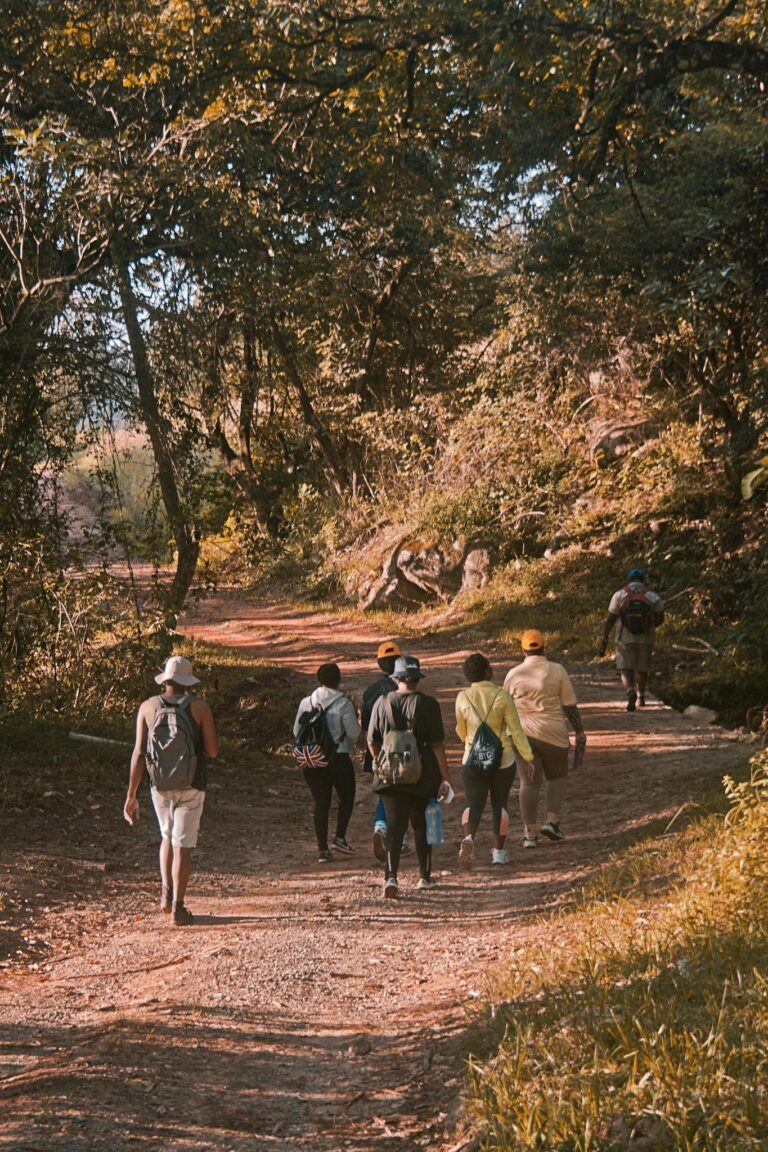 Adults hiking through a lush forest trail in Siteki, Eswatini, capturing a sense of adventure and nature.